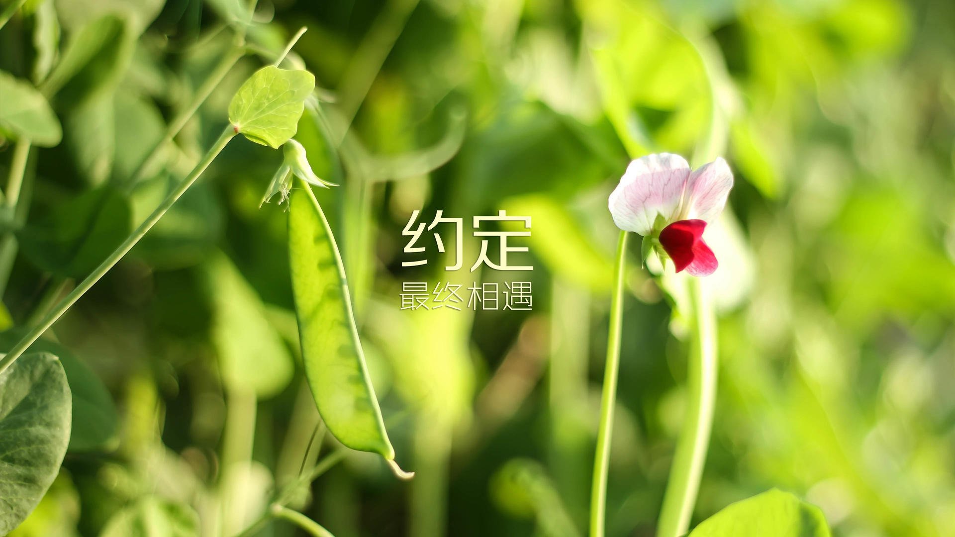 人工智能英语论文及翻译（人工智能英语论文3000字）